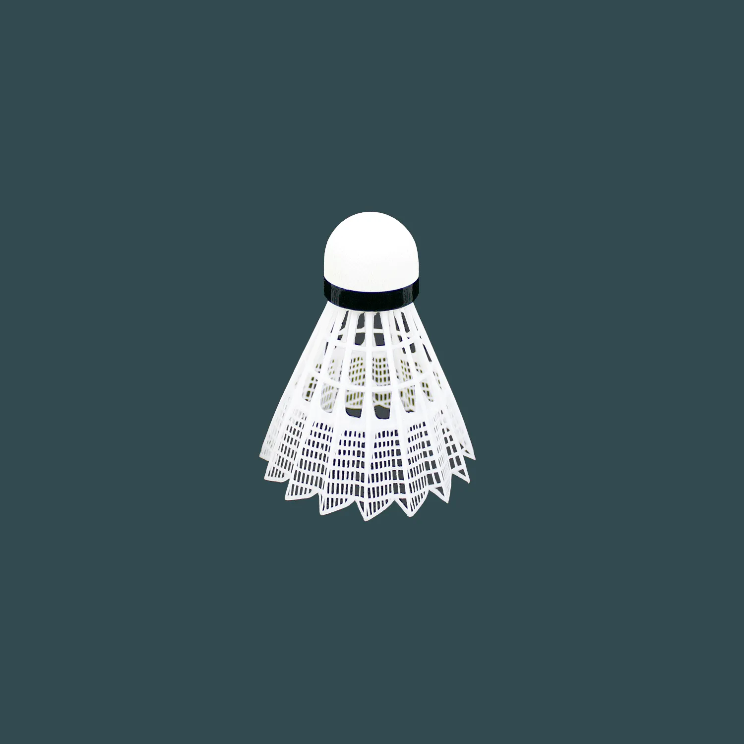 Badminton Birdy