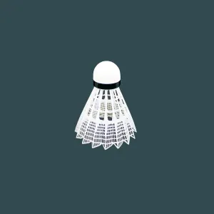 Badminton Birdy